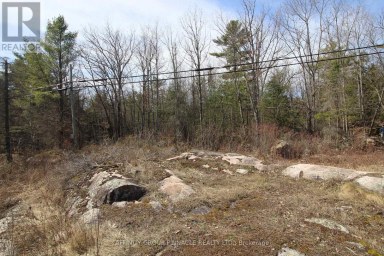 LOT 15 CONCESSION 9 Trent Lakes Ontario photo 7