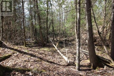 LOT 15 CONCESSION 9 Trent Lakes Ontario photo 8
