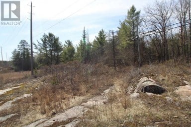 LOT 15 CONCESSION 9 Trent Lakes Ontario photo 9