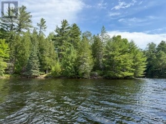 5420 CENTENNIAL LAKE ROAD Greater Madawaska Ontario photo 11