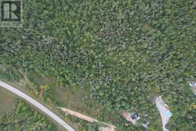 15 FERGUSON ROAD Kawartha Lakes (Bexley) Ontario photo 7