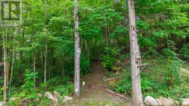 9 CEDAR HILL ROAD Trent Hills Ontario photo 35
