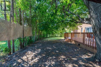 17 TWIN CIRCLE COURT Toronto (Westminster-Branson) Ontario photo 25