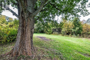 4045 HIGHWAY 2 Clarington Ontario photo 30