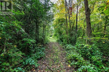 4045 HIGHWAY 2 Clarington Ontario photo 32