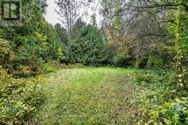 4045 HIGHWAY 2 Clarington Ontario photo 33