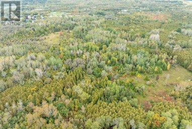 4045 HIGHWAY 2 Clarington Ontario photo 35