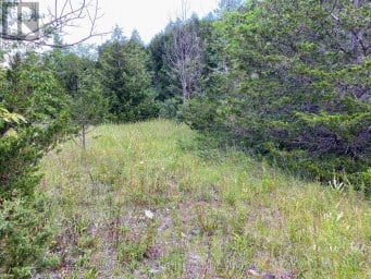 0 COLEBROOK ROAD Stone Mills (Stone Mills) Ontario photo 2