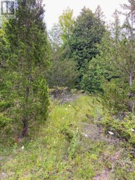 0 COLEBROOK ROAD Stone Mills (Stone Mills) Ontario photo 5