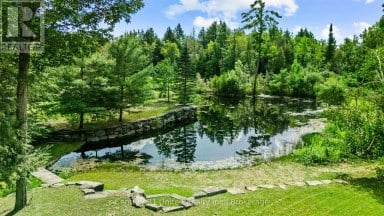 79 OAKRIDGE ROAD Trent Lakes Ontario photo 33