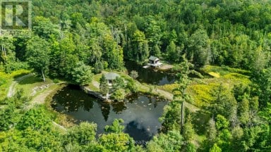 79 OAKRIDGE ROAD Trent Lakes Ontario photo 37