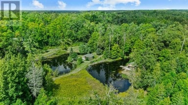 79 OAKRIDGE ROAD Trent Lakes Ontario photo 47