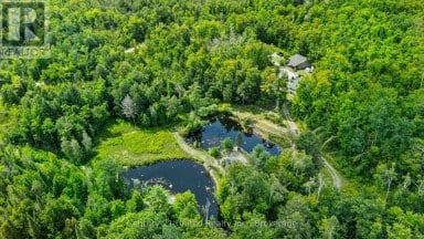 79 OAKRIDGE ROAD Trent Lakes Ontario photo 48