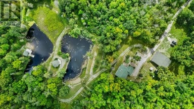 79 OAKRIDGE ROAD Trent Lakes Ontario photo 50