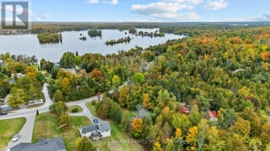 1249 BIRCHVIEW ROAD Douro-Dummer Ontario photo 34