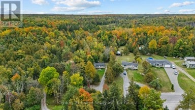 1249 BIRCHVIEW ROAD Douro-Dummer Ontario photo 36