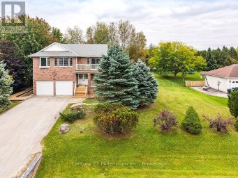 46 DONALD AVENUE Clearview (Nottawa) Ontario photo 2