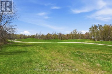 156 SNOWBRIDGE WAY Blue Mountains Ontario photo 50
