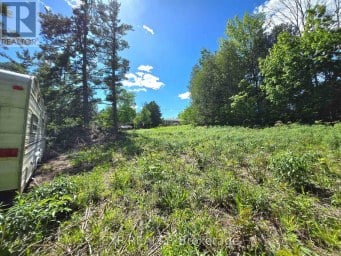 4 KILLARNEY ROAD Selwyn Ontario photo 2