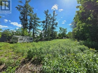 4 KILLARNEY ROAD Selwyn Ontario photo 3