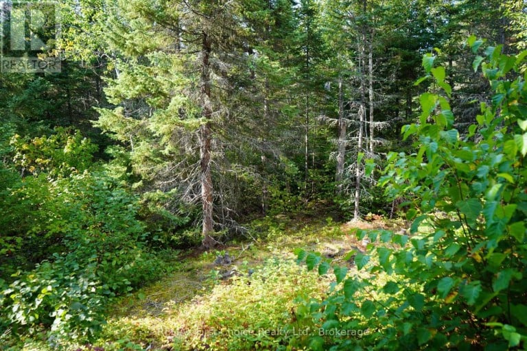 LOT 2 GUNN LAKE ROAD, Kenora Remote Area (Minaki-Winnepeg River), Ontario, P0X1J0
