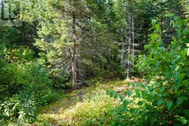 LOT 2 GUNN LAKE ROAD Kenora Remote Area (Minaki-Winnepeg River) Ontario photo 39