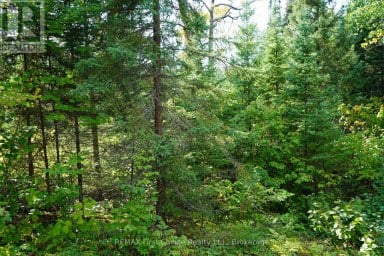LOT 2 GUNN LAKE ROAD Kenora Remote Area (Minaki-Winnepeg River) Ontario photo 40
