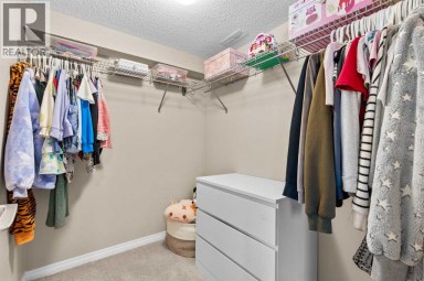 38 Auburn Bay Gardens SE Calgary Alberta photo 26