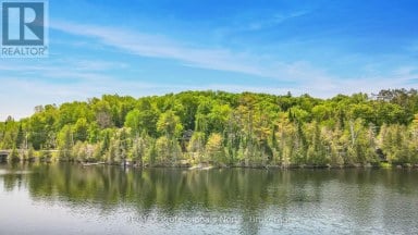 1214 KASHAGAWIGAMOG LAKE ROAD Minden Hills (Minden) Ontario photo 43