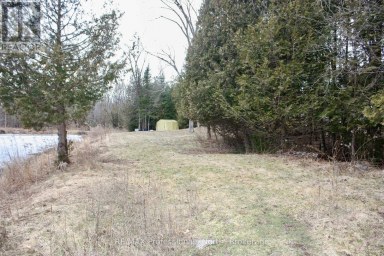 810 4TH LINE Douro-Dummer Ontario photo 18