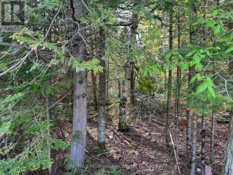 810 4TH LINE Douro-Dummer Ontario photo 2
