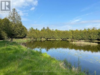 810 4TH LINE Douro-Dummer Ontario photo 21