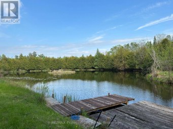 810 4TH LINE Douro-Dummer Ontario photo 25