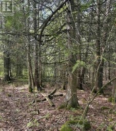 371 A WELLMANS ROAD Stirling-Rawdon (Rawdon Ward) Ontario photo 10