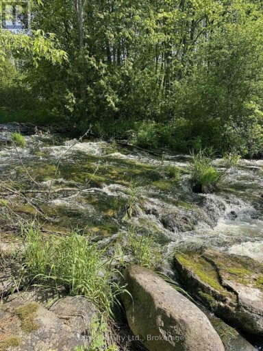 371 A WELLMANS ROAD, Stirling-Rawdon (Rawdon Ward), Ontario, K0K3E0