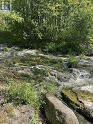 371 A WELLMANS ROAD Stirling-Rawdon (Rawdon Ward) Ontario photo 3