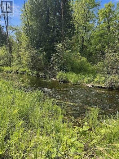 371 A WELLMANS ROAD, Stirling-Rawdon (Rawdon Ward), Ontario, K0K3E0