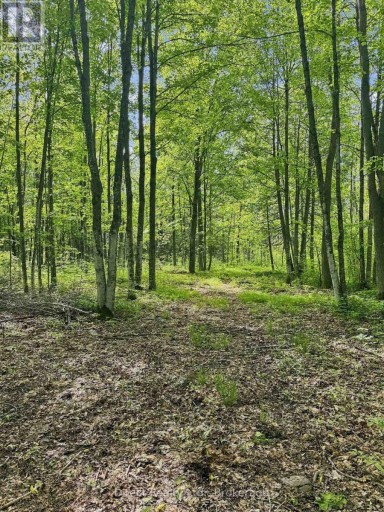 371 A WELLMANS ROAD, Stirling-Rawdon (Rawdon Ward), Ontario, K0K3E0