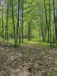 371 A WELLMANS ROAD Stirling-Rawdon (Rawdon Ward) Ontario photo 5