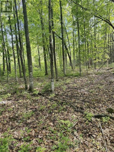 371 A WELLMANS ROAD, Stirling-Rawdon (Rawdon Ward), Ontario, K0K3E0