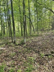 371 A WELLMANS ROAD Stirling-Rawdon (Rawdon Ward) Ontario photo 6