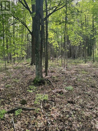 371 A WELLMANS ROAD, Stirling-Rawdon (Rawdon Ward), Ontario, K0K3E0