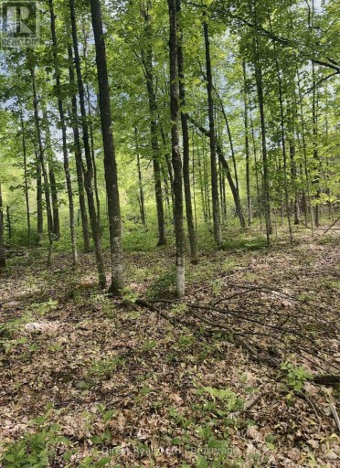 371 A WELLMANS ROAD, Stirling-Rawdon (Rawdon Ward), Ontario, K0K3E0