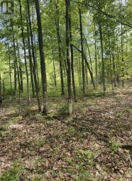 371 A WELLMANS ROAD Stirling-Rawdon (Rawdon Ward) Ontario photo 8