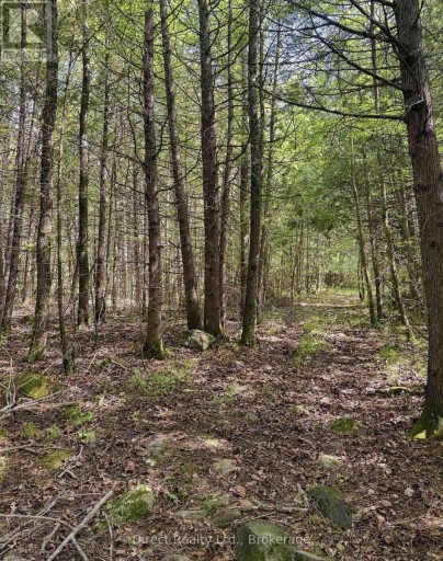371 A WELLMANS ROAD, Stirling-Rawdon (Rawdon Ward), Ontario, K0K3E0