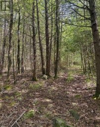 371 A WELLMANS ROAD Stirling-Rawdon (Rawdon Ward) Ontario photo 9