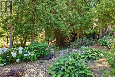 164 BAY STREET W Blue Mountains Ontario photo 3
