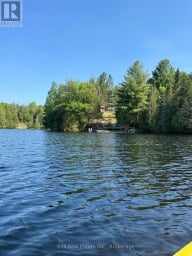 25 FIRE ROUTE 330 ROUTE Trent Lakes Ontario photo 3
