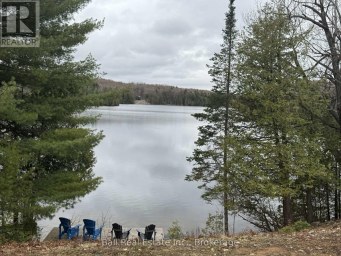 25 FIRE ROUTE 330 ROUTE Trent Lakes Ontario photo 6