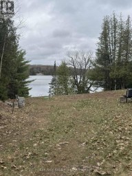 25 FIRE ROUTE 330 ROUTE Trent Lakes Ontario photo 8
